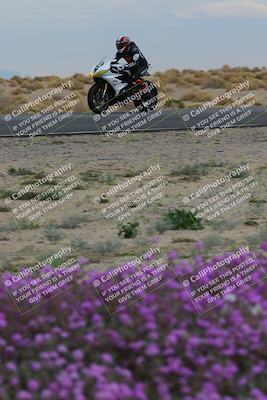 media/Jan-14-2023-SoCal Trackdays (Sat) [[497694156f]]/Turn 14 Exit Bloomig (145pm)/